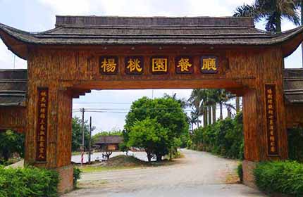 生态休闲杨桃园