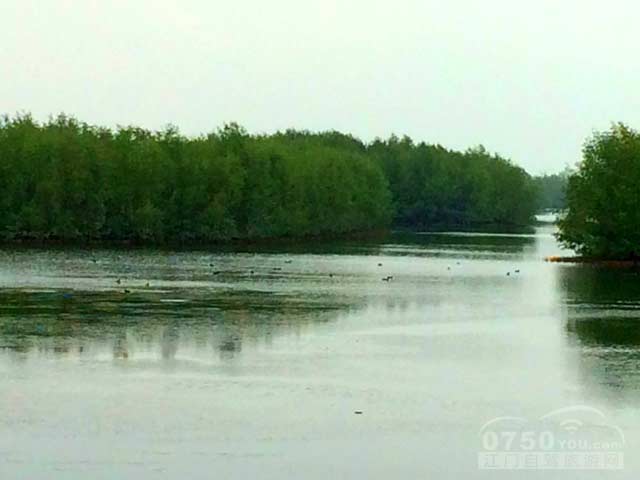 银湖湾湿地公园