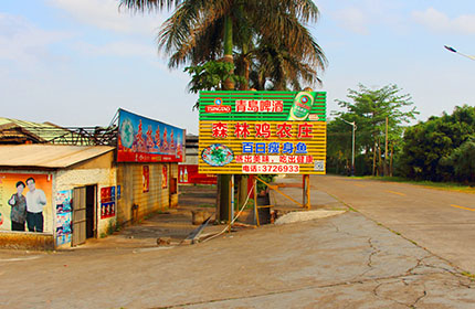 森林鸡农庄<font color=red>（富哥推荐）</font>