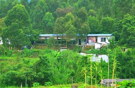 新古泉山农庄