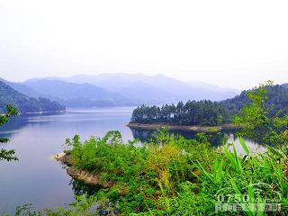 广东河排森林公园