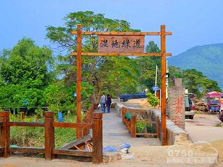 淇澳岛红树林