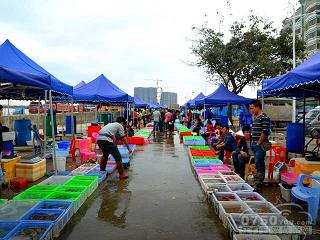白藤头水产市场