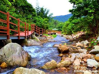 皂幕山森林公园